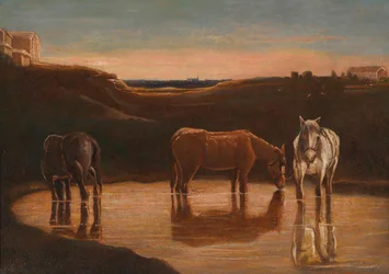 Chevaux au gué
